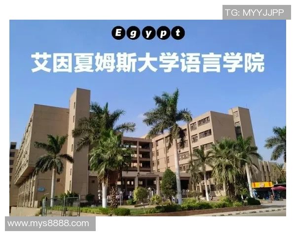 深圳网球队的成长之路：从青涩到辉煌的网球纪实故事